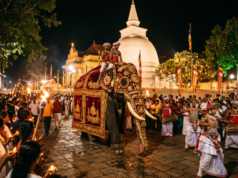 බෙල්ලන්විල පෙරහැරට ජනාධිපති ලේකම් කාර්යාලයෙන් ලැබුණු අනපේක්ෂිත තීන්දුව මෙන්න