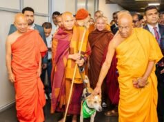 වියට්නාමයේ පඤ්ඤාකර හිමියන් සහ “ආලෝකා” සාමය සොයා ලංකාවට