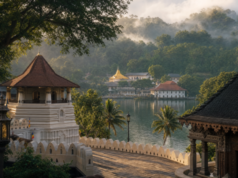 හජ්ජි උත්සවයට සෙංකඩගලපුරවරයෙන් ගවයින් 14ක් මරන්න ඉල්ලූ අවසරයට දැඩි විරෝධයක්