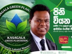 කසාගල ග්රීන් ප්ලාන්ටේශන් හොර රහසේම නීති විරෝධී ‘සල්ලි සෙල්ලමක්’ නටලද?