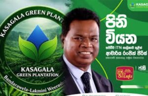 කසාගල ග්රීන් ප්ලාන්ටේශන් හොර රහසේම නීති විරෝධී ‘සල්ලි සෙල්ලමක්’ නටලද?
