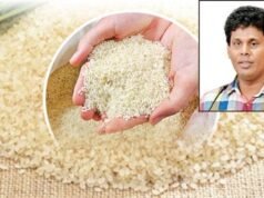 රජයේ සේවකයන්ට ගෙවන්න ගන්න විට්ස් කාර් එකක්ද? නෑ.. නෑ.. නෑ.. හාල් කිලෝ 20ක්