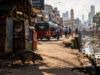 පූසන්ටත් බිය නැති කොළඹ ඌරු මී රජදහන – මී උණ වසංගතයක පෙරනිමිතිද?